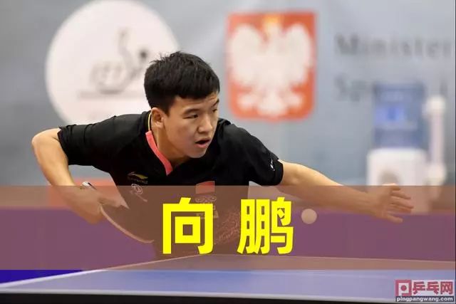 力的高度认 力的高度认